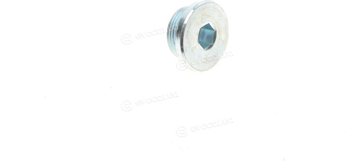 Elring 878.100