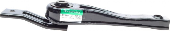 Borsehung B18517