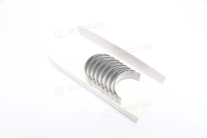 Glyco 71-4066/4 STD