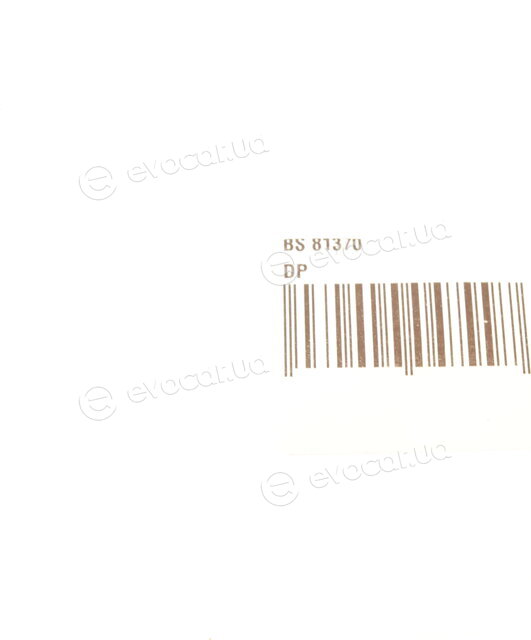 DP BS 81370