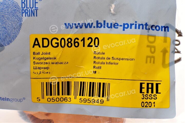 Blue Print ADG086120