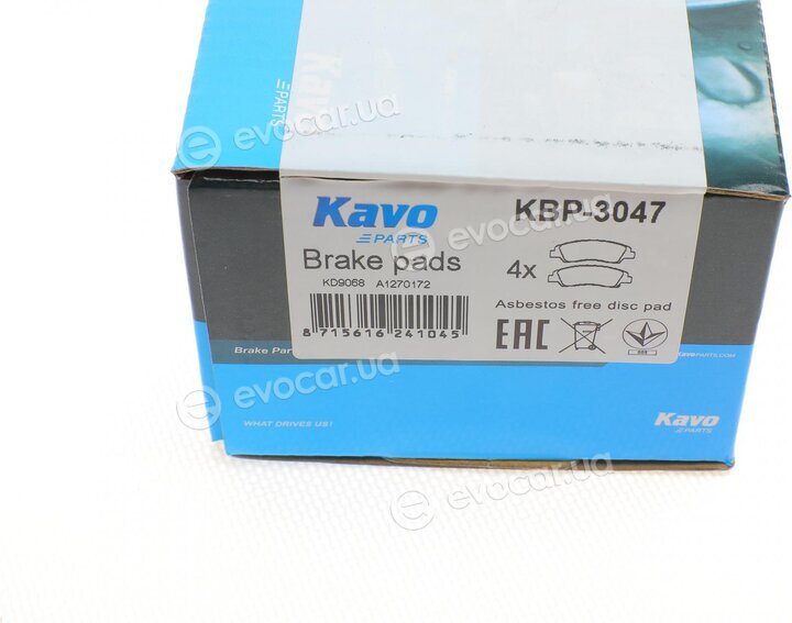 Kavo KBP-3047