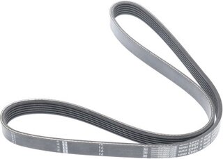 Finwhale BP6PK1043