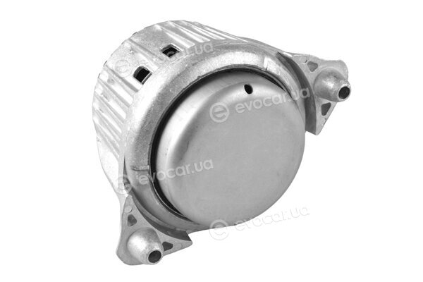 Tedgum TED83830