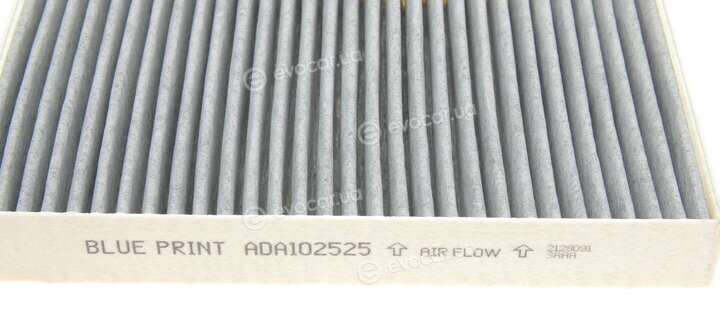 Blue Print ADA102525