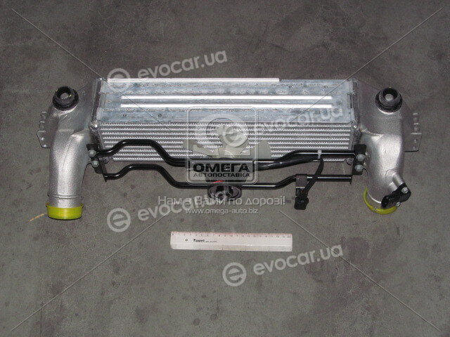 Kia / Hyundai 281904A470