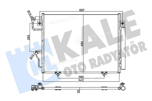 Kale 350635