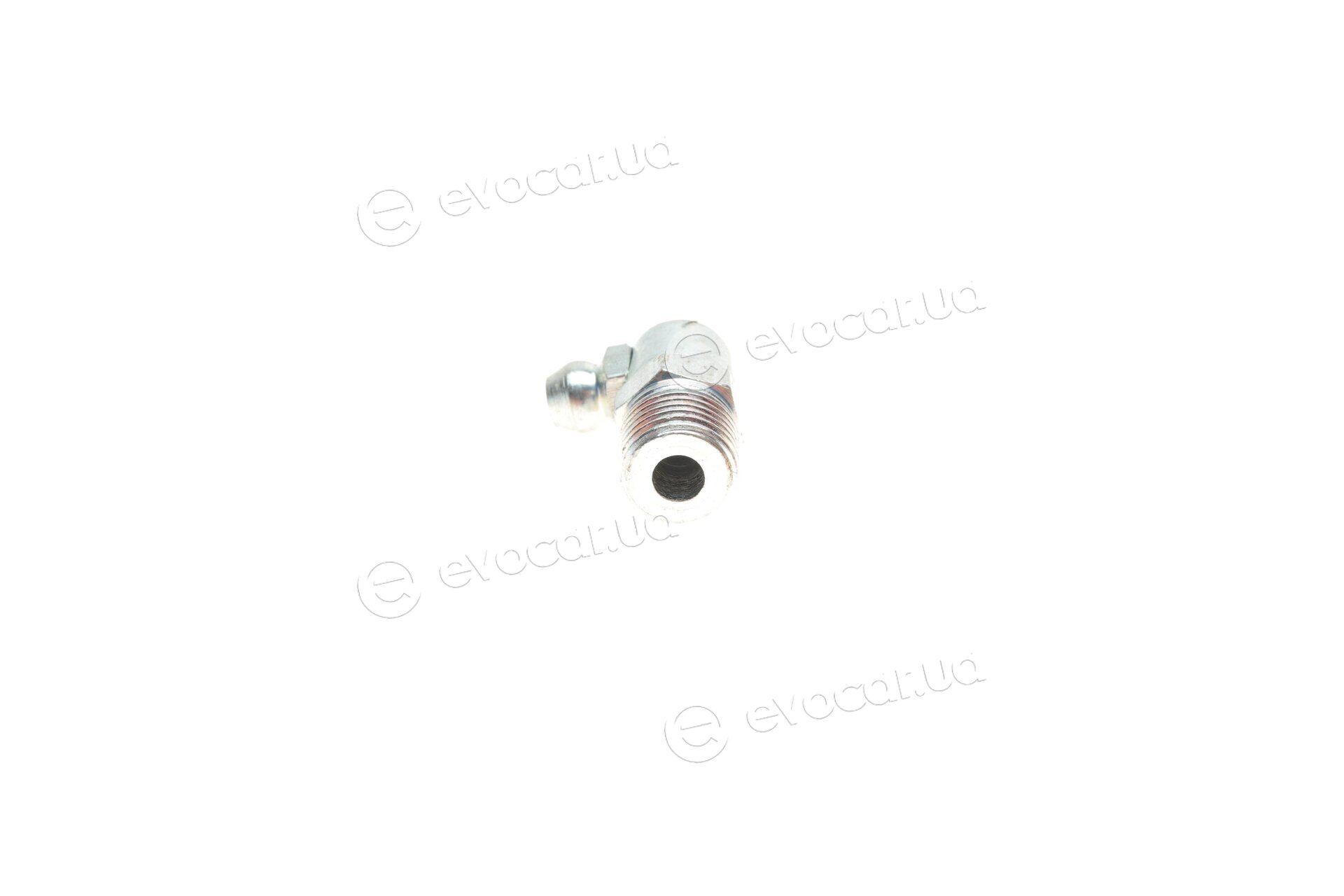 Blue Print ADG03905