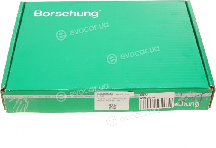 Borsehung B18203