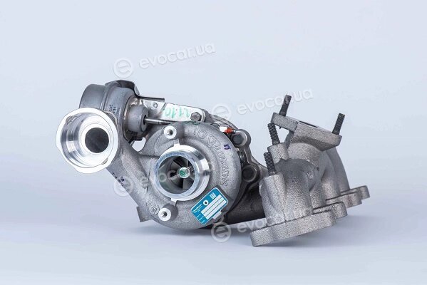 BorgWarner 54399880020