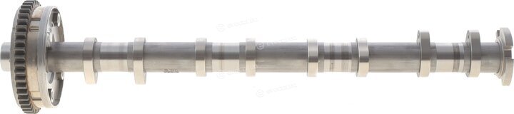 OEM 06L109021C