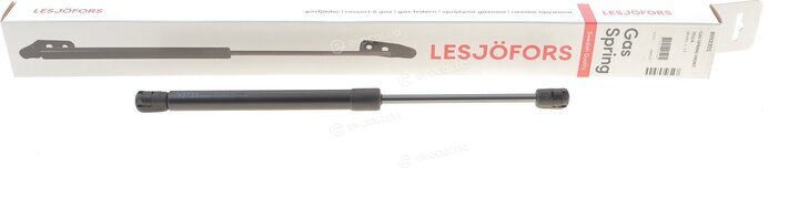 Lesjofors 8092201