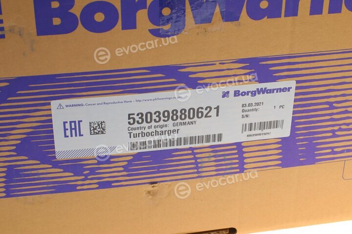 BorgWarner 53039880621