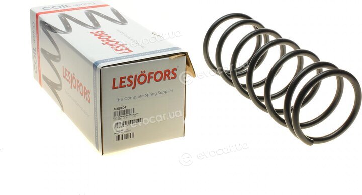 Lesjofors 4008404