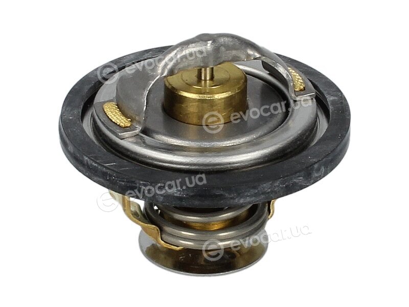 Wahler / BorgWarner 4151.76D