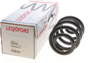 Lesjofors 4063484