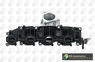 BGA MG01010