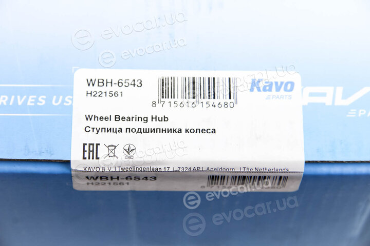 Kavo WBH-6543