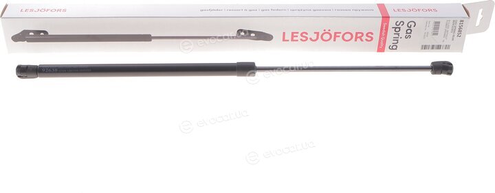 Lesjofors 8156852