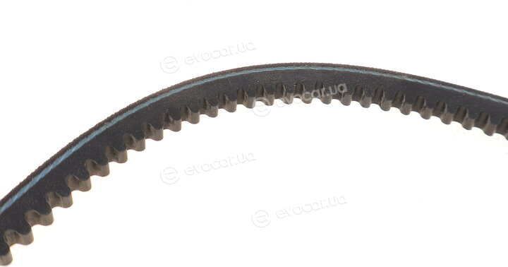 Hutchinson AV 10 La 925