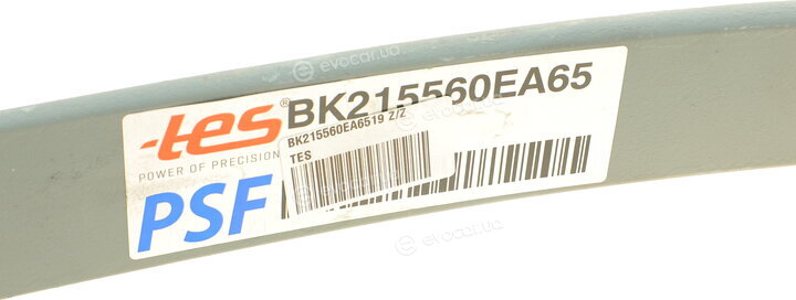 TES BK215560EA6519 Z/Z