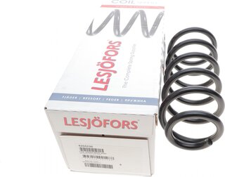 Lesjofors 4204236