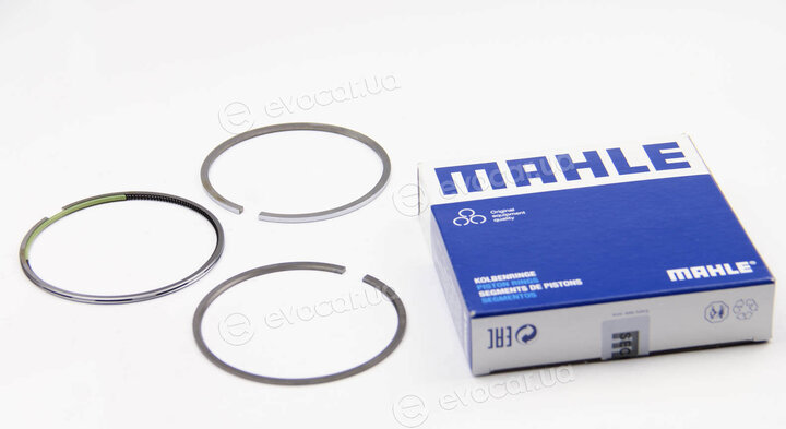 Mahle 001 36 N0