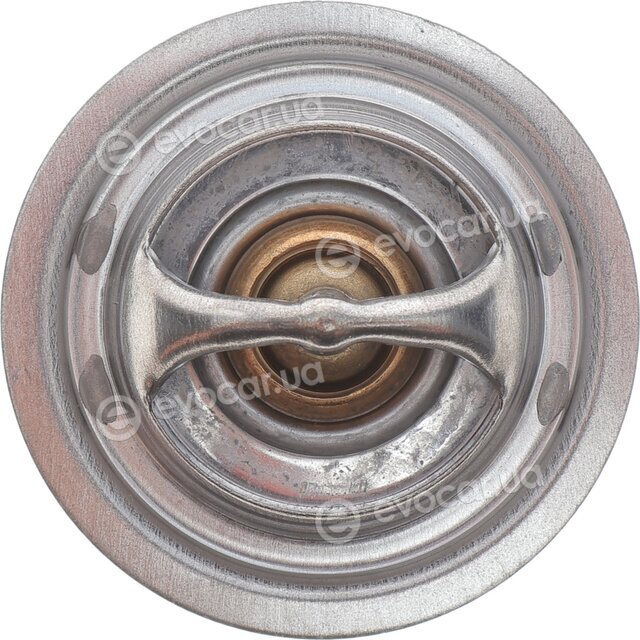 Motorad 302-82K