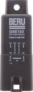Beru GSE183
