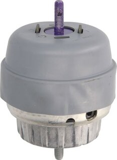Reinhoch RH11-0099