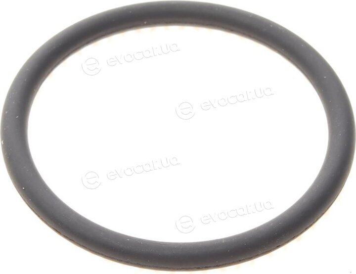 Solgy 108016