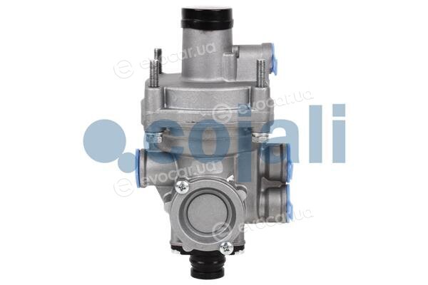 Cojali 2220331