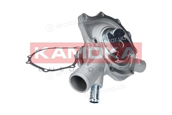 Kamoka T0189