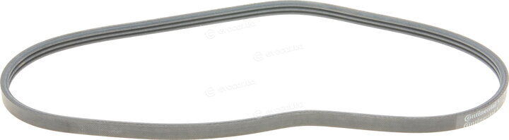 Continental 3PK798 ELAST