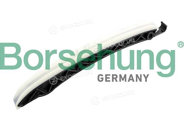 Borsehung B12598