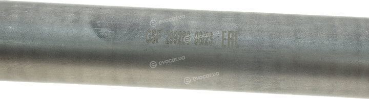 GSP 299286