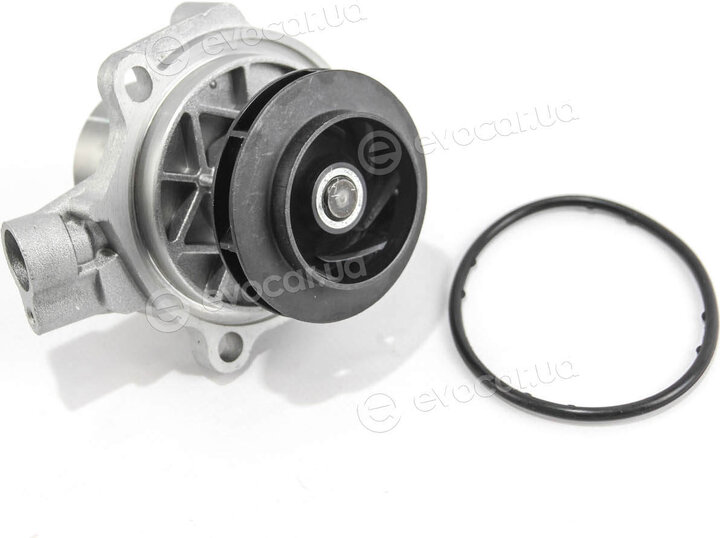 Dolz A255
