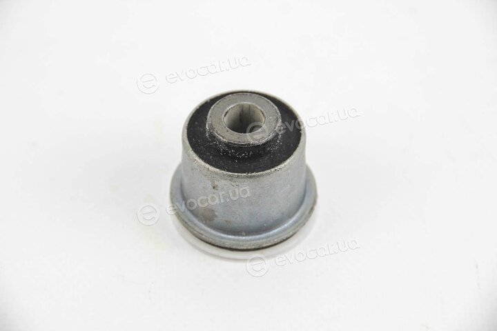 Hutchinson 531618