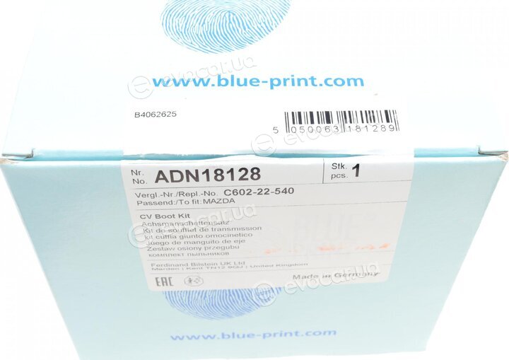 Blue Print ADN18128