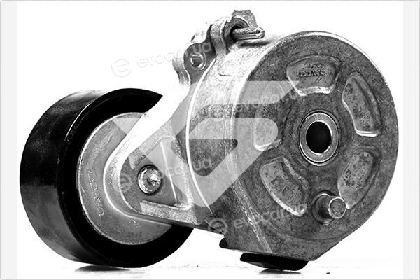 Hutchinson T0447