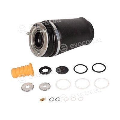 Bapmic BF0320240028