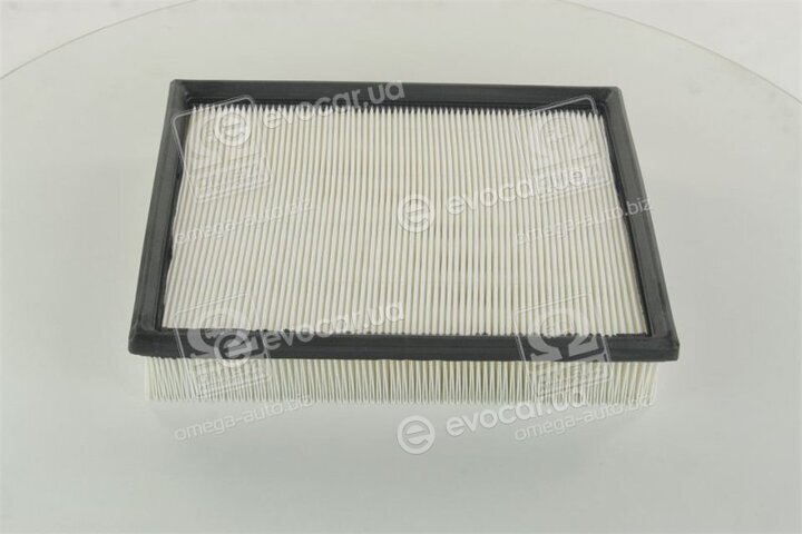 Champion CAF100507P