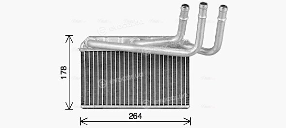 AVA BW6599