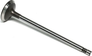 Gunes 3996