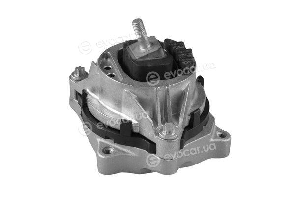 Tedgum TED56344