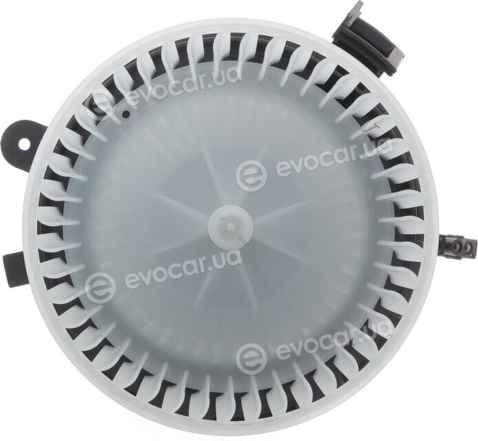 AIC 55365