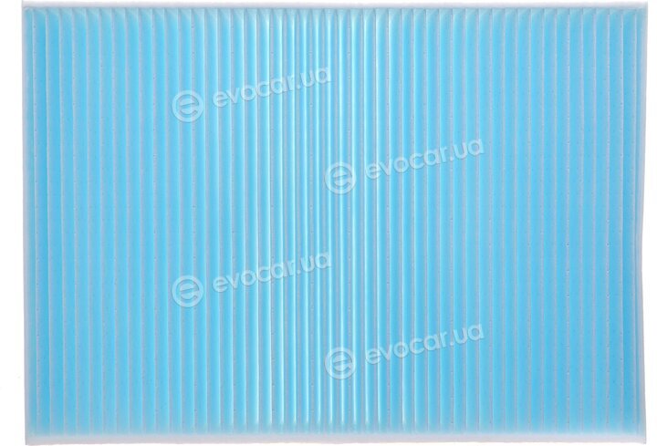 Blue Print ADF122524