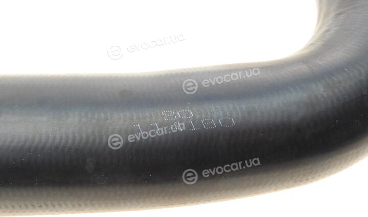 Solgy 114180