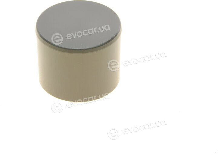 Frenkit P403208