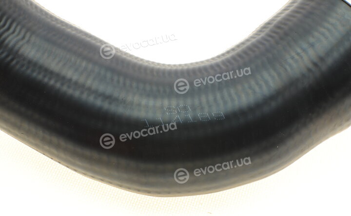 Solgy 114189
